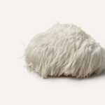 lion's mane