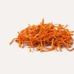 cordyceps